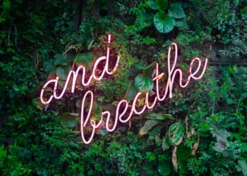 FoMO or JoMO? Give your business decisions (and yourself) a chance to breathe