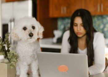 What home-office expenses are deductible for your business?