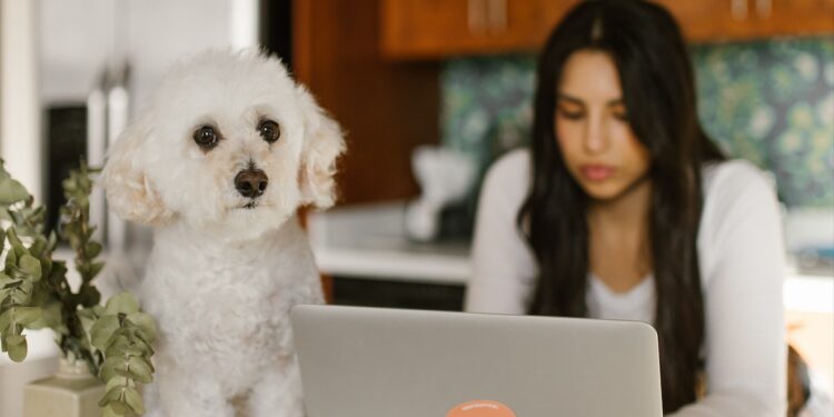 What home-office expenses are deductible for your business?