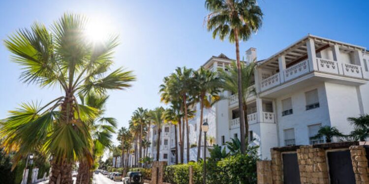 non doms Accountants247